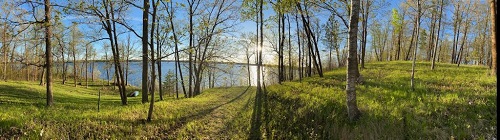  Marci Maple 