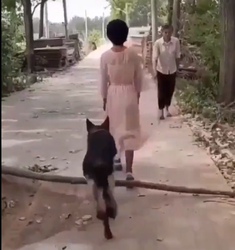  Humanity 